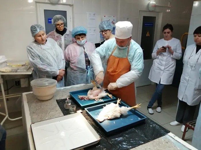 IMG_20200130_135607_resized_20200206_033930321-1024x768