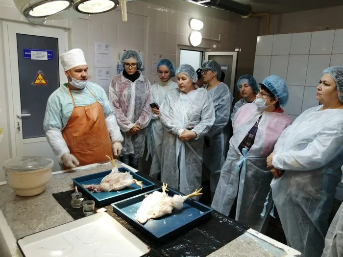 IMG_20200130_135415_resized_20200206_033931787-1024x768