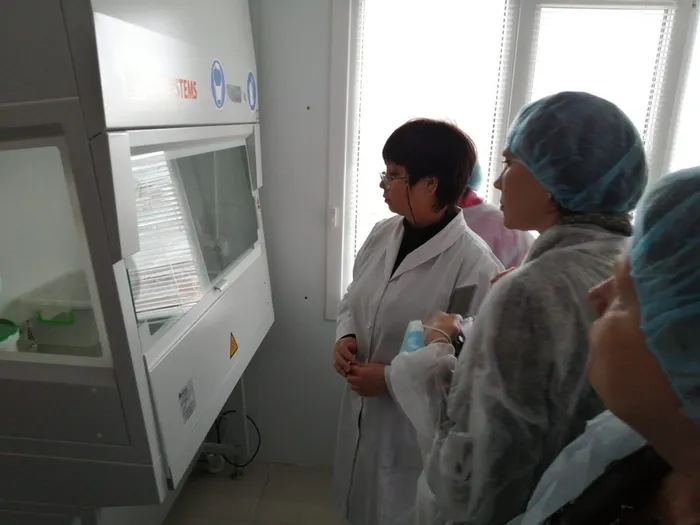 IMG_20200130_134451_resized_20200206_033934737-1024x768